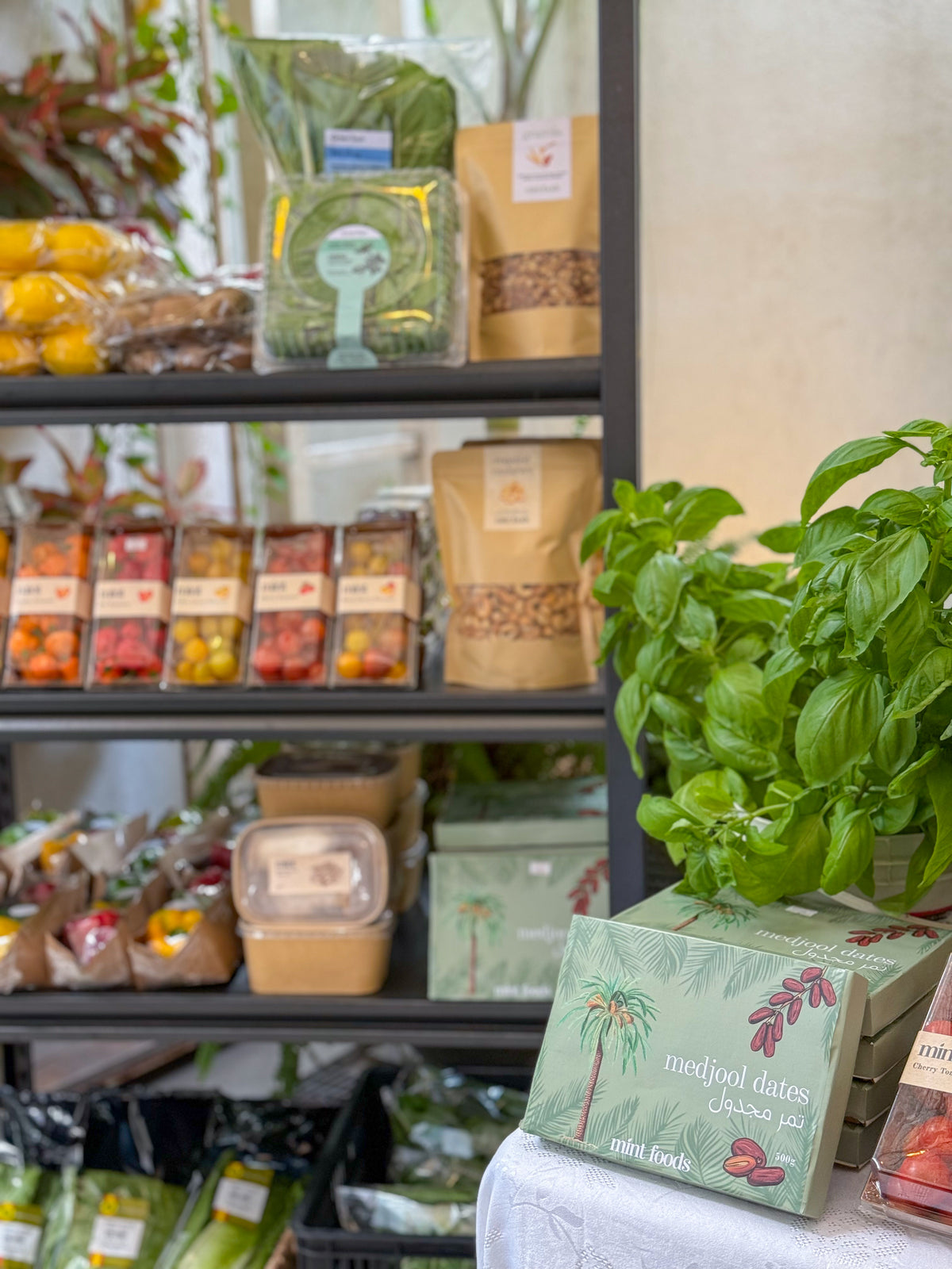 Mint Foods