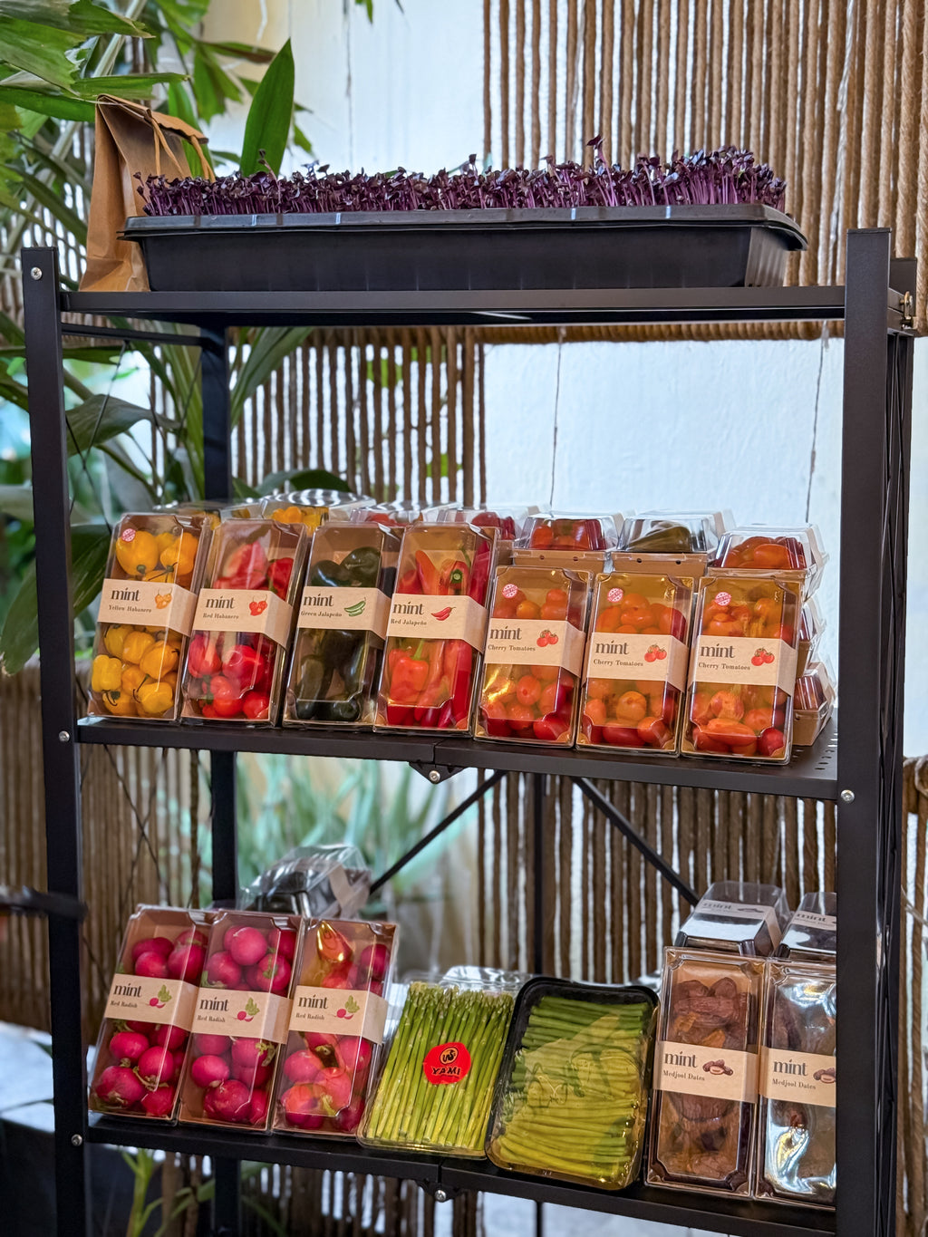 Mint Foods