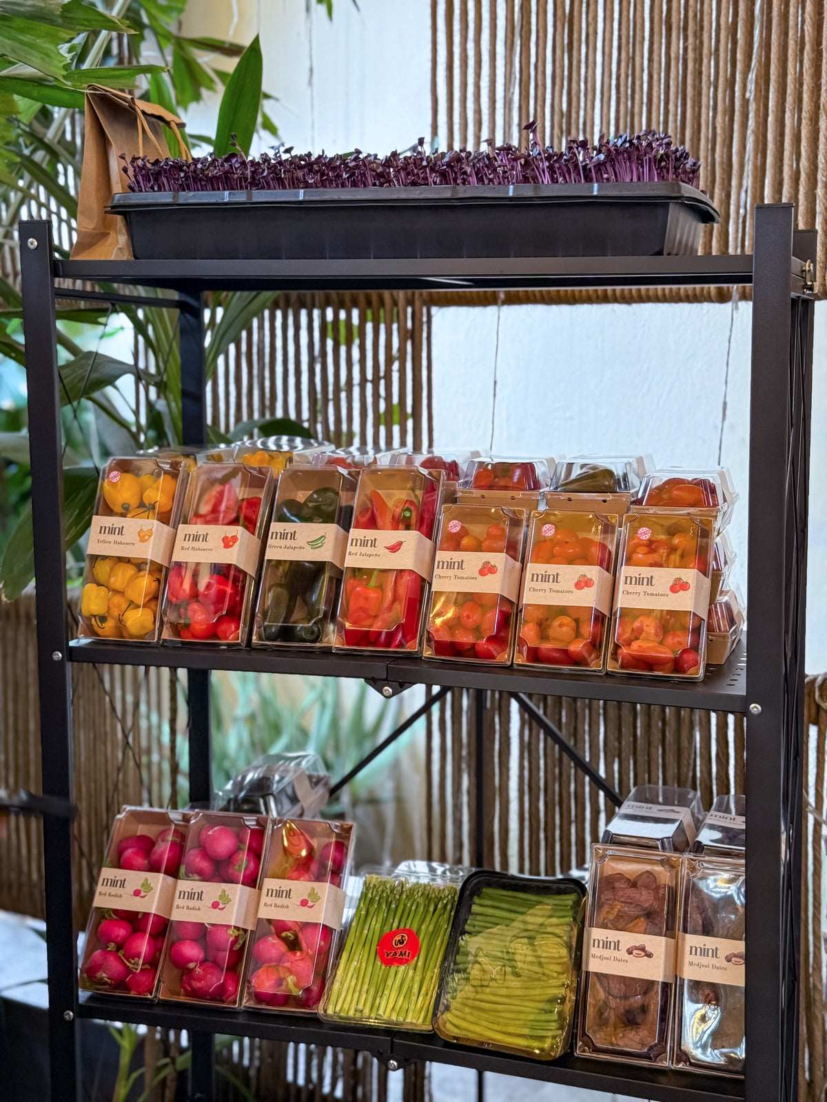 Mint Foods