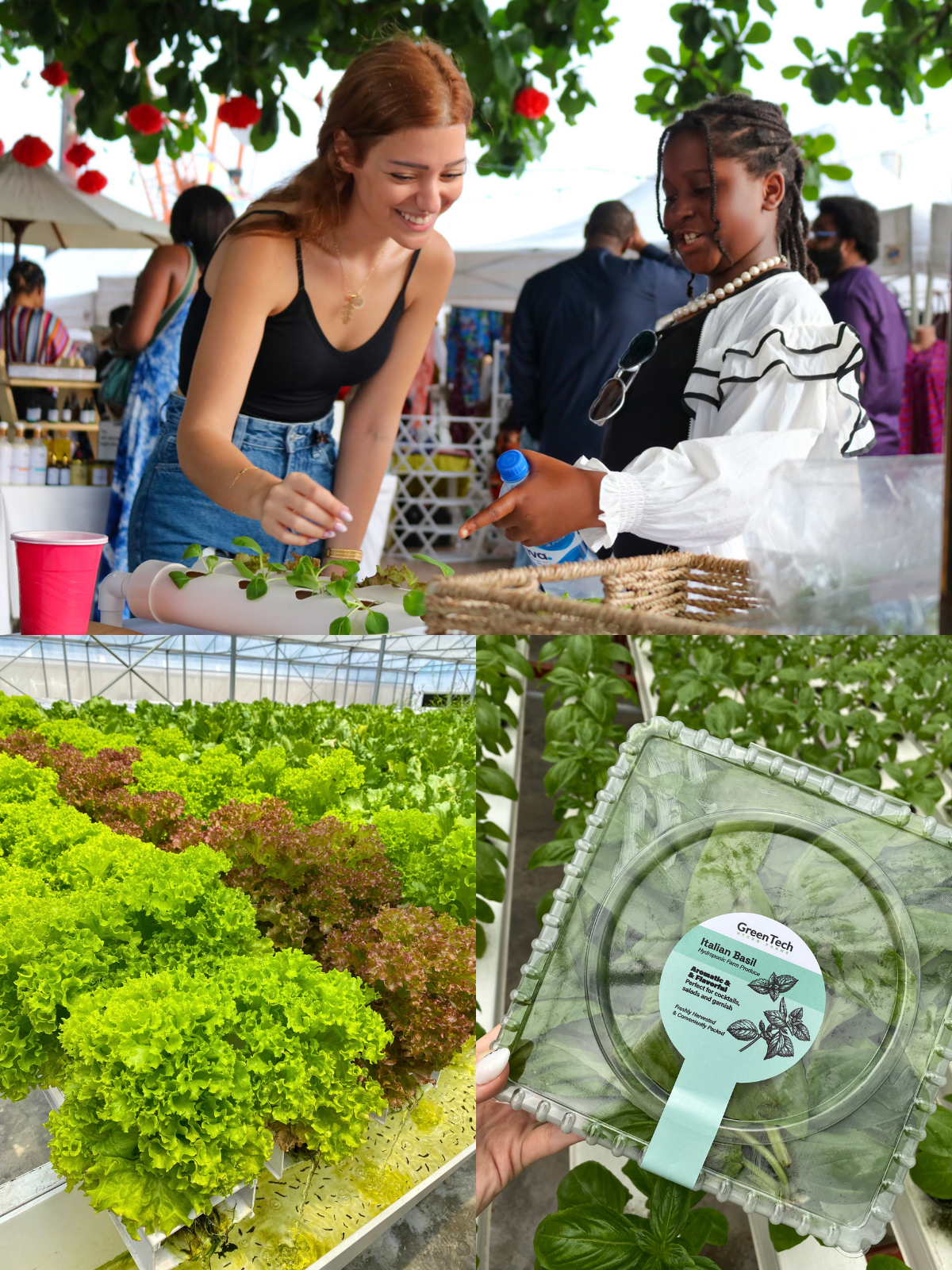 GreenTech Hydro Farms